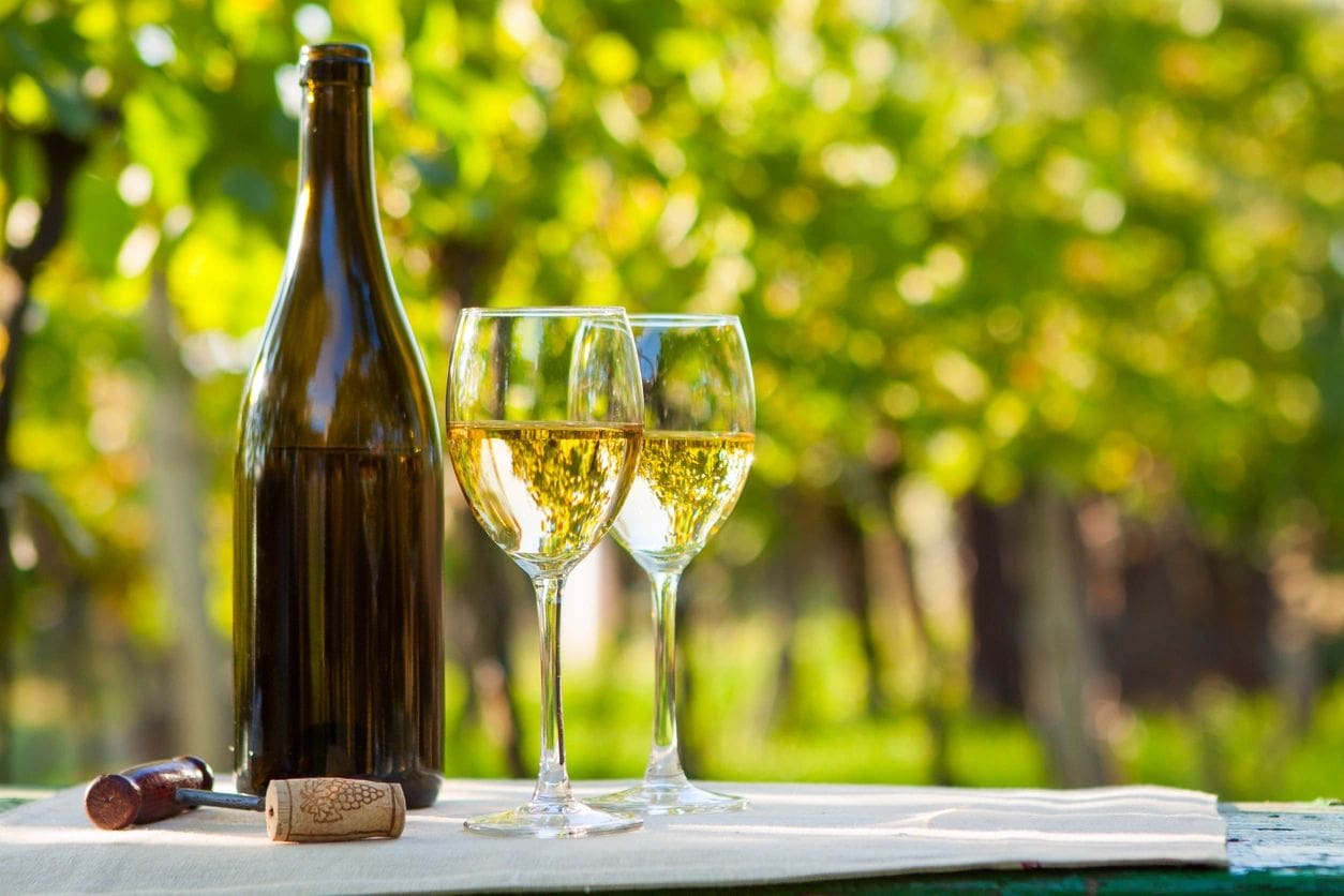 A bottle of wine and two glasses on the table.